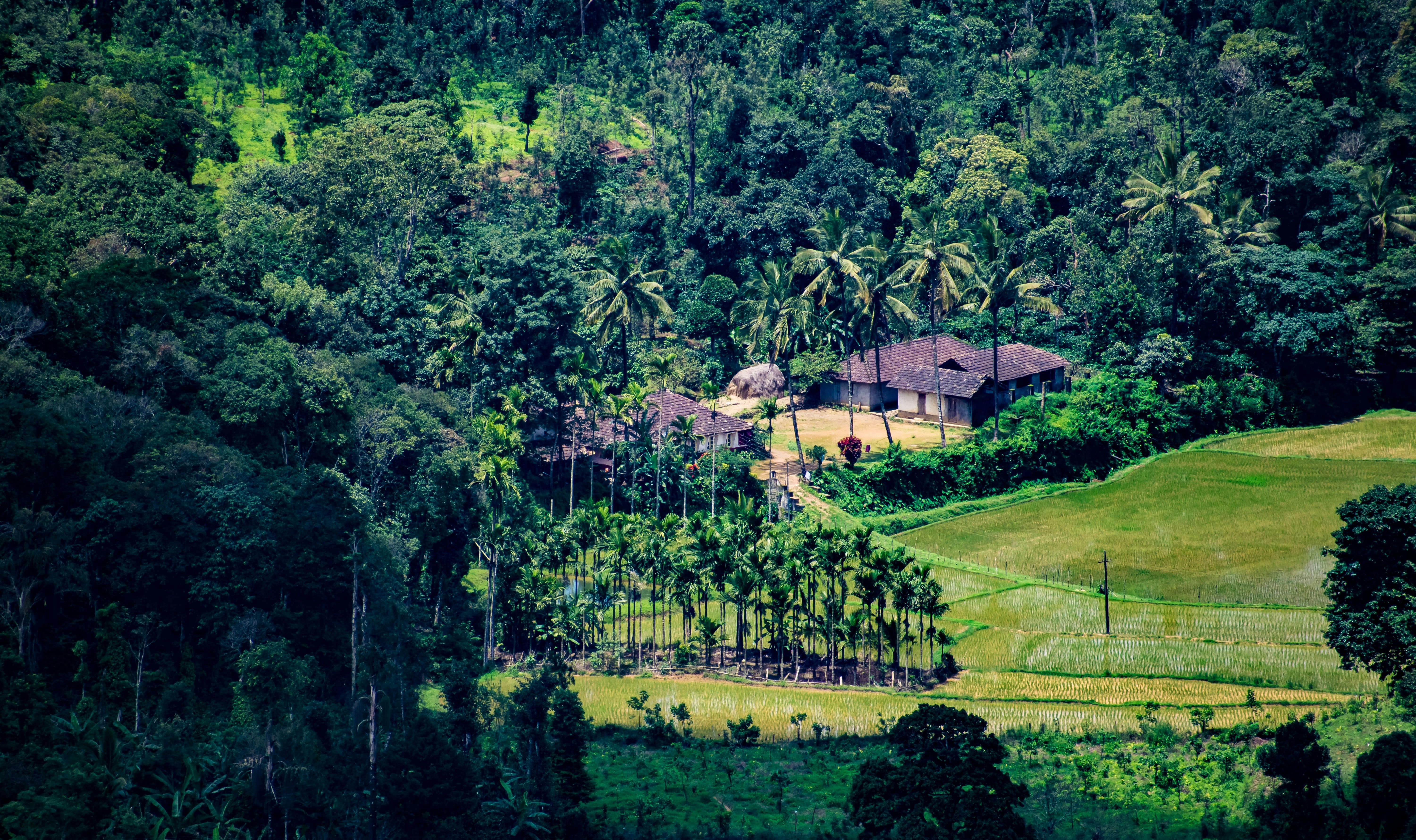 Kovalam Tour Package