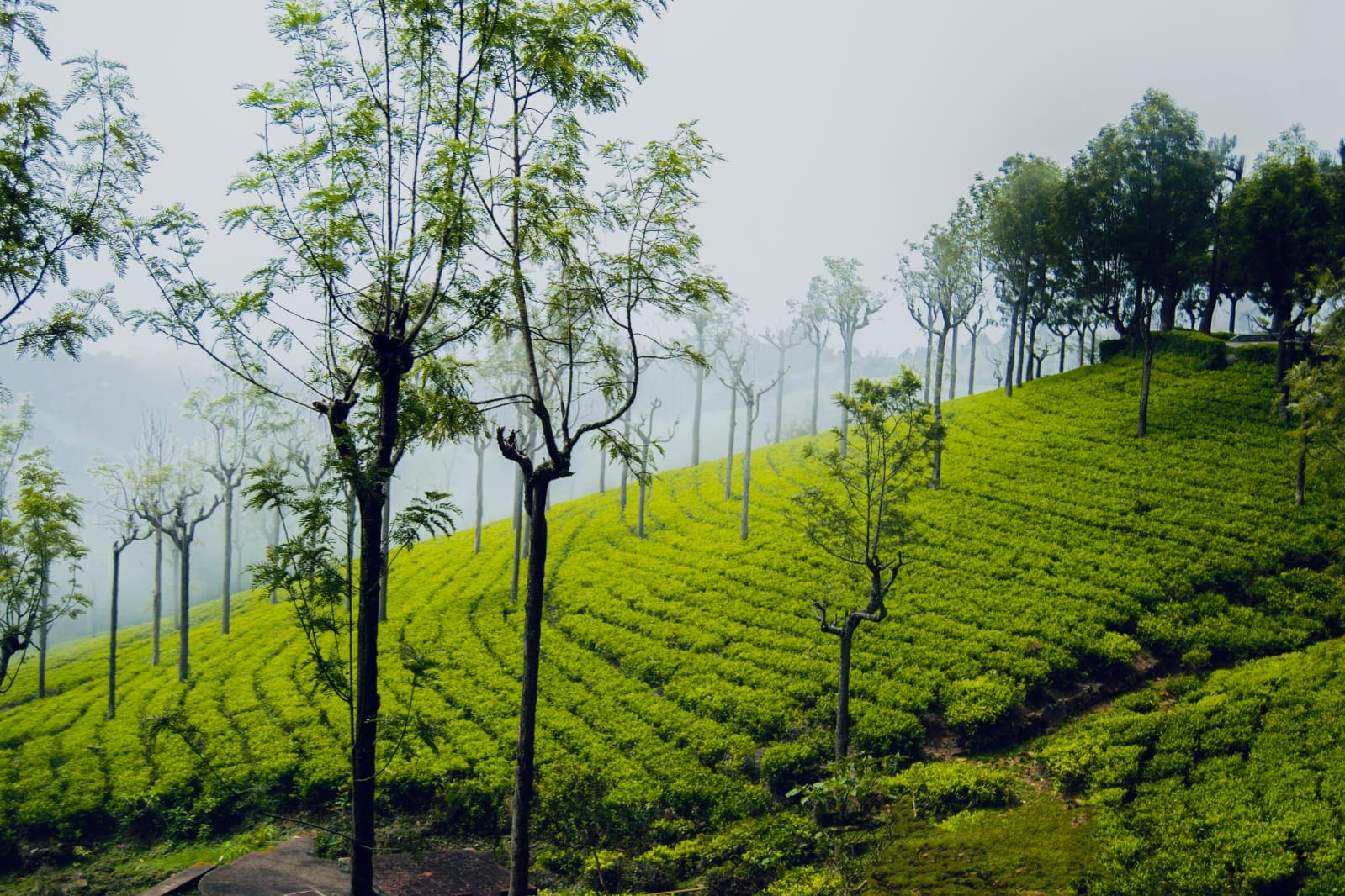 Karnataka Hill Station Packages